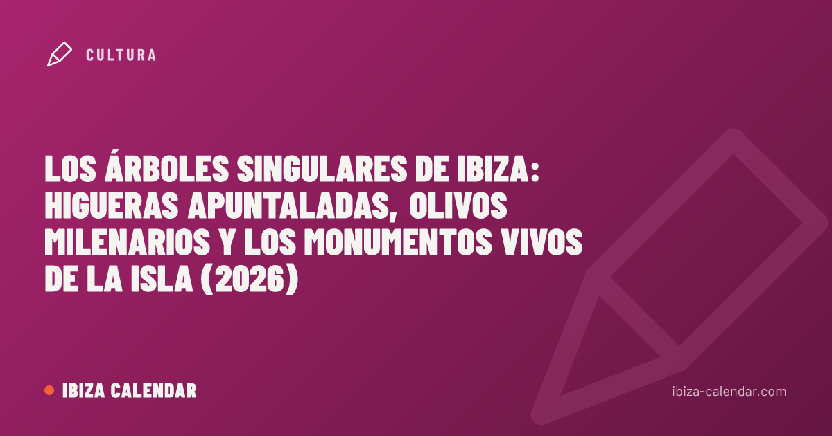 Los árboles singulares de Ibiza: higueras apuntaladas, olivos milenarios y los monumentos vivos de la isla (2026)