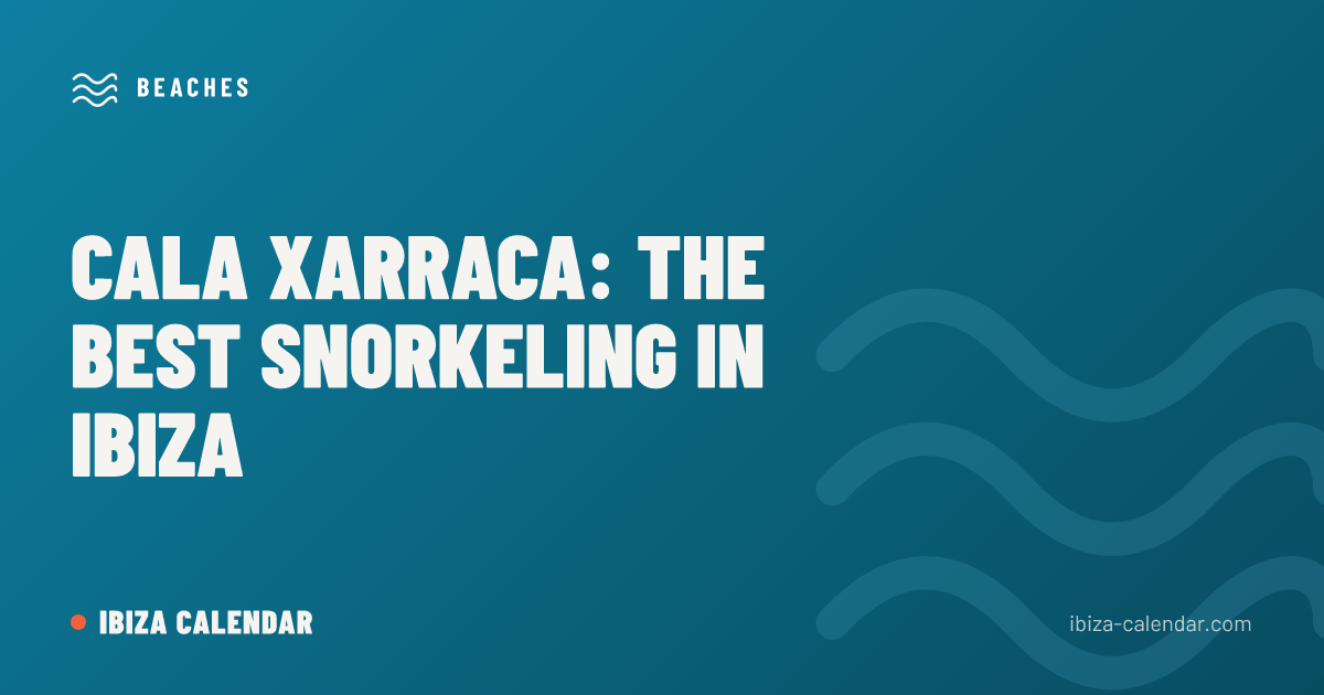 Cala Xarraca: The Best Snorkeling in Ibiza