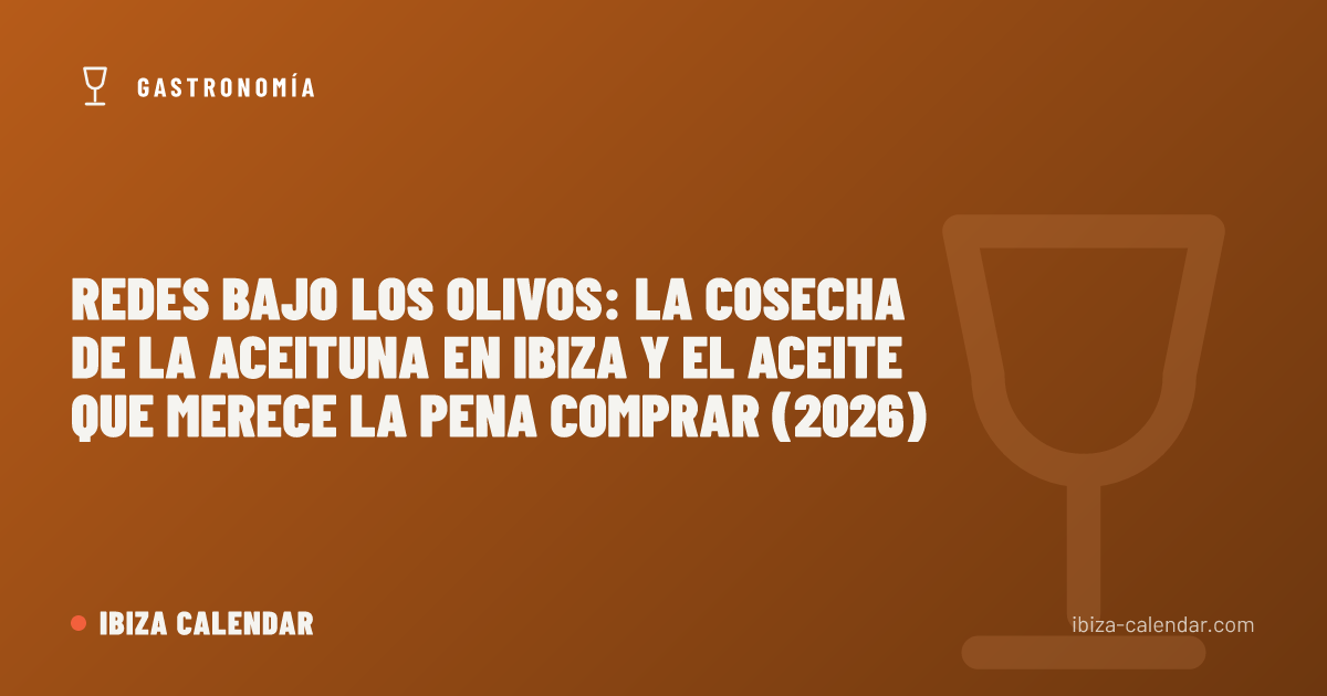 Redes bajo los olivos: la cosecha de la aceituna en Ibiza y el aceite que merece la pena comprar (2026)