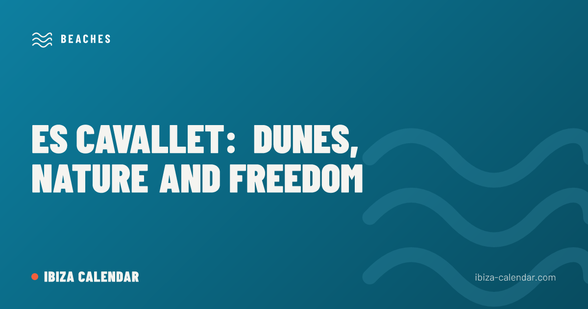 Es Cavallet: Dunes, Nature and Freedom