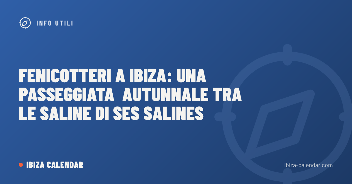 Fenicotteri a Ibiza: una passeggiata autunnale tra le saline di Ses Salines