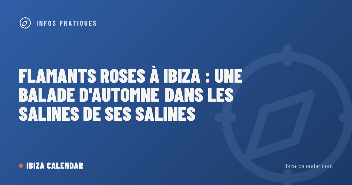 Flamants roses à Ibiza : une balade d'automne dans les salines de Ses Salines