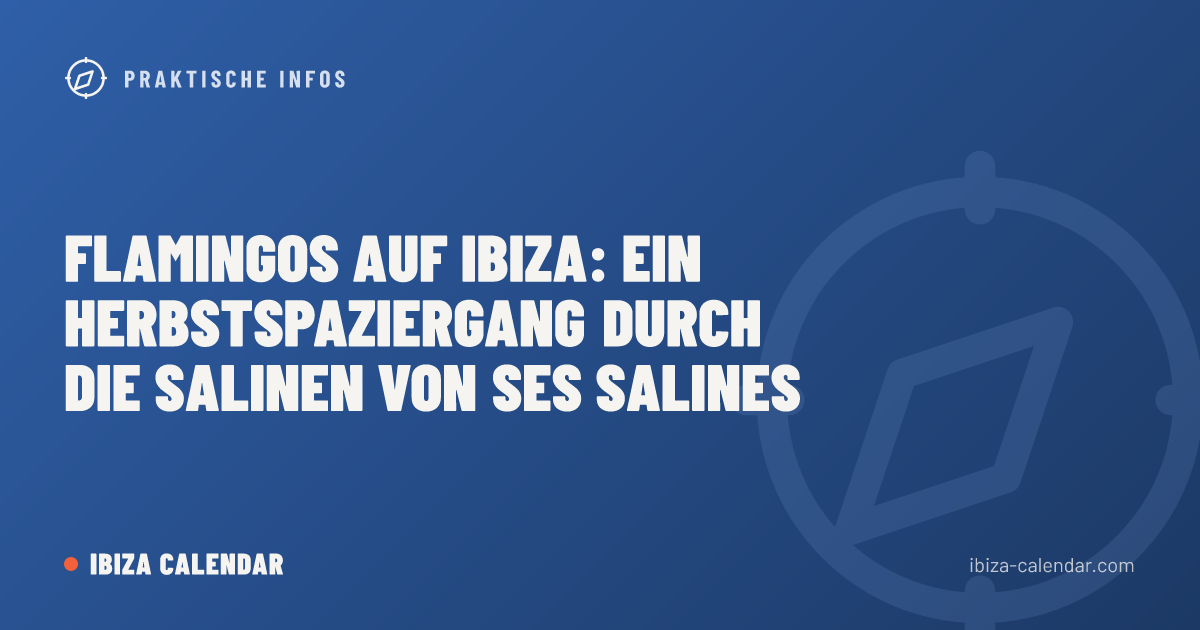 Flamingos auf Ibiza: Ein Herbstspaziergang durch die Salinen von Ses Salines