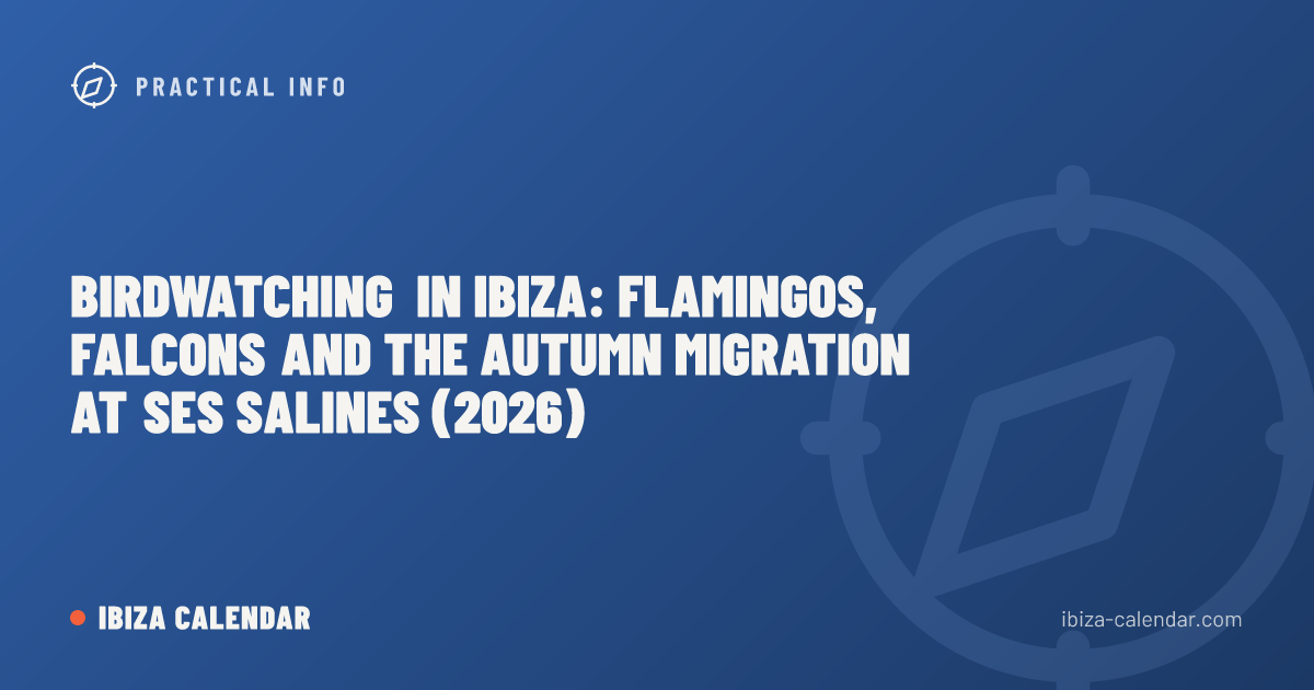 Birdwatching in Ibiza: Flamingos, Falcons and the Autumn Migration at Ses Salines (2026)
