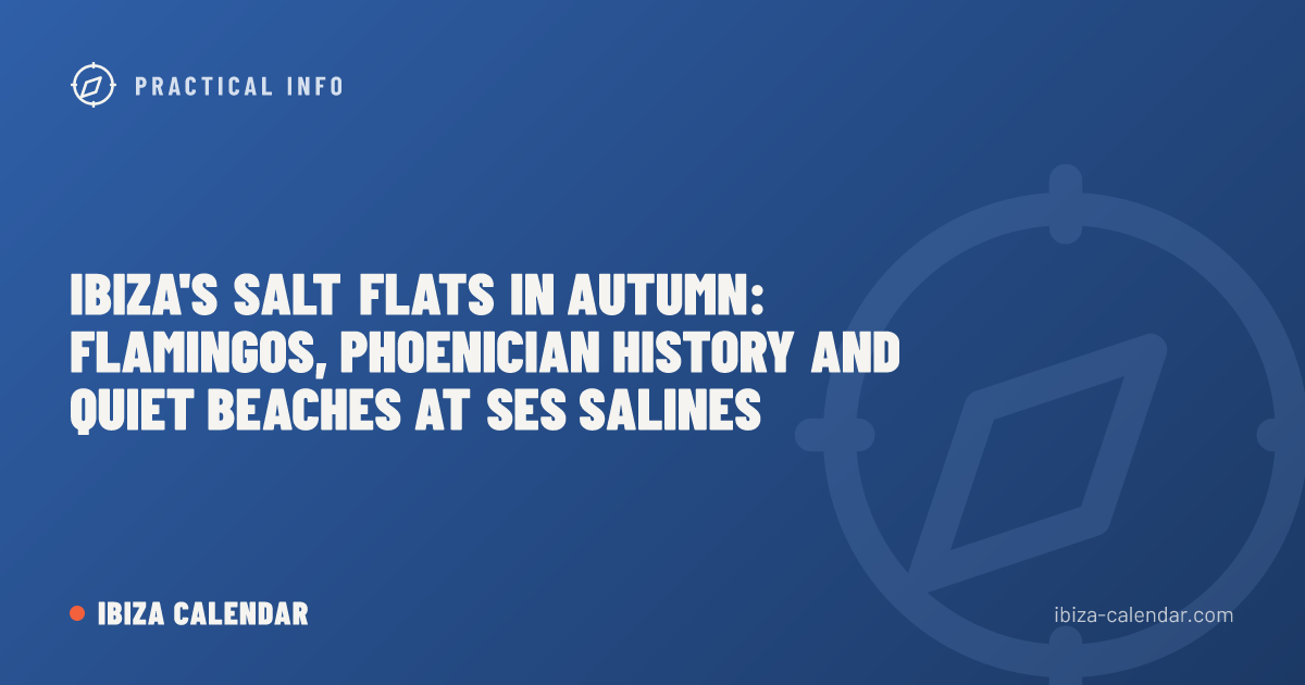 Ibiza's Salt Flats in Autumn: Flamingos, Phoenician History and Quiet Beaches at Ses Salines