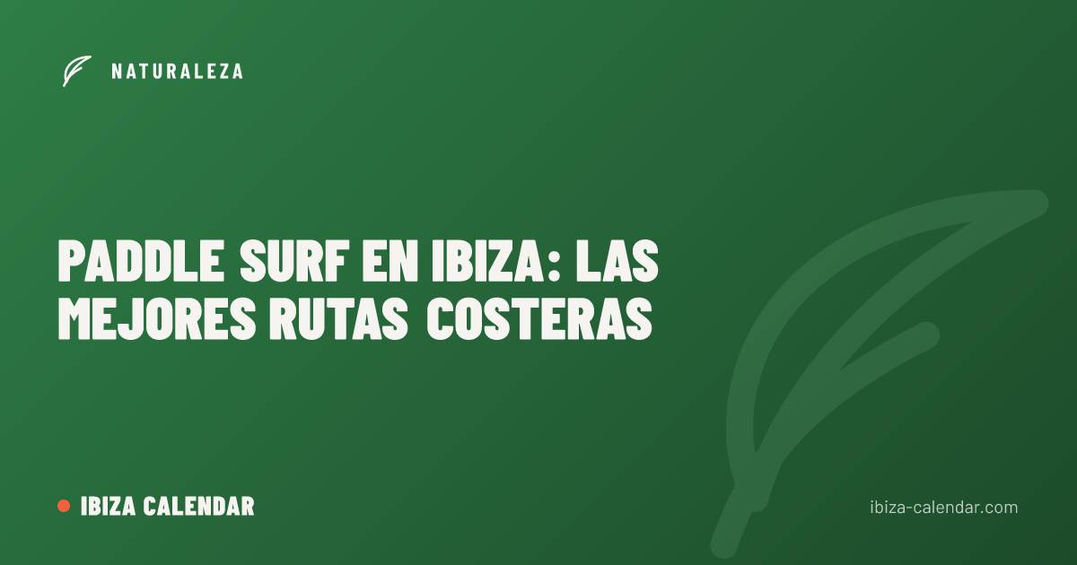 Paddle surf en Ibiza: las mejores rutas costeras