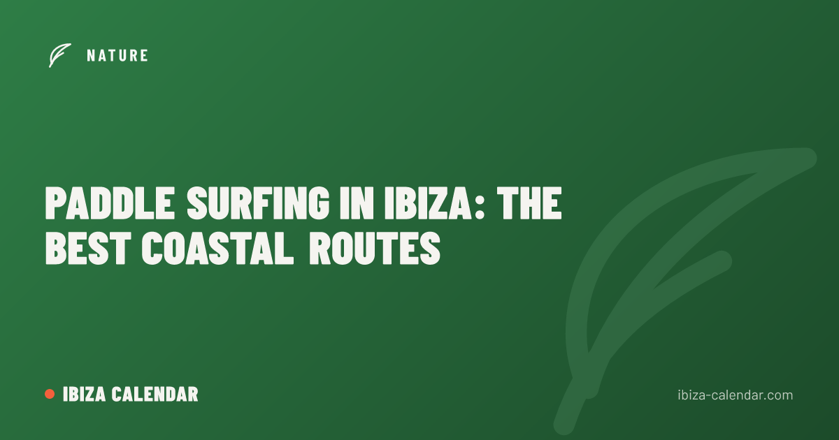 Paddle Surfing in Ibiza: The Best Coastal Routes