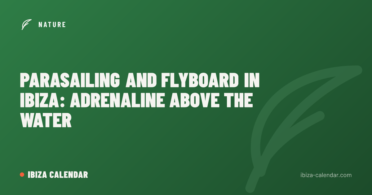 Parasailing and Flyboard in Ibiza: Adrenaline Above the Water