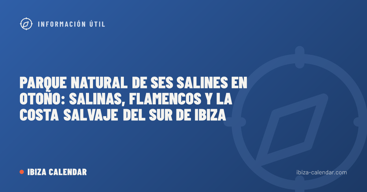 Parque Natural de Ses Salines en otoño: salinas, flamencos y la costa salvaje del sur de Ibiza