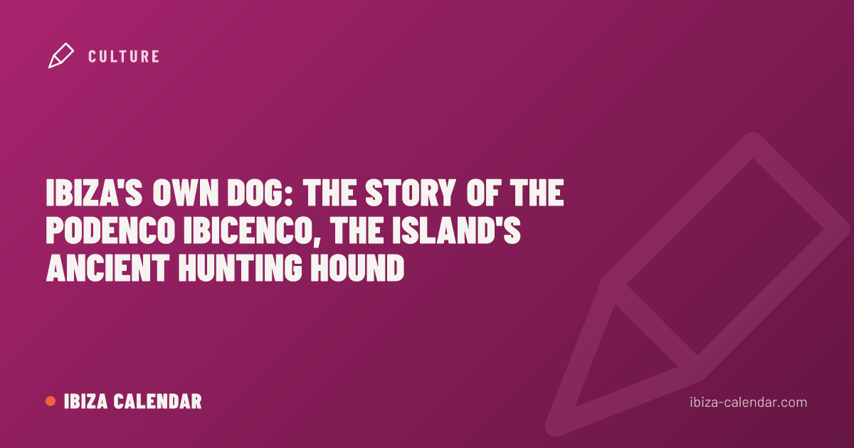 Ibiza's Own Dog: The Story of the Podenco Ibicenco, the Island's Ancient Hunting Hound