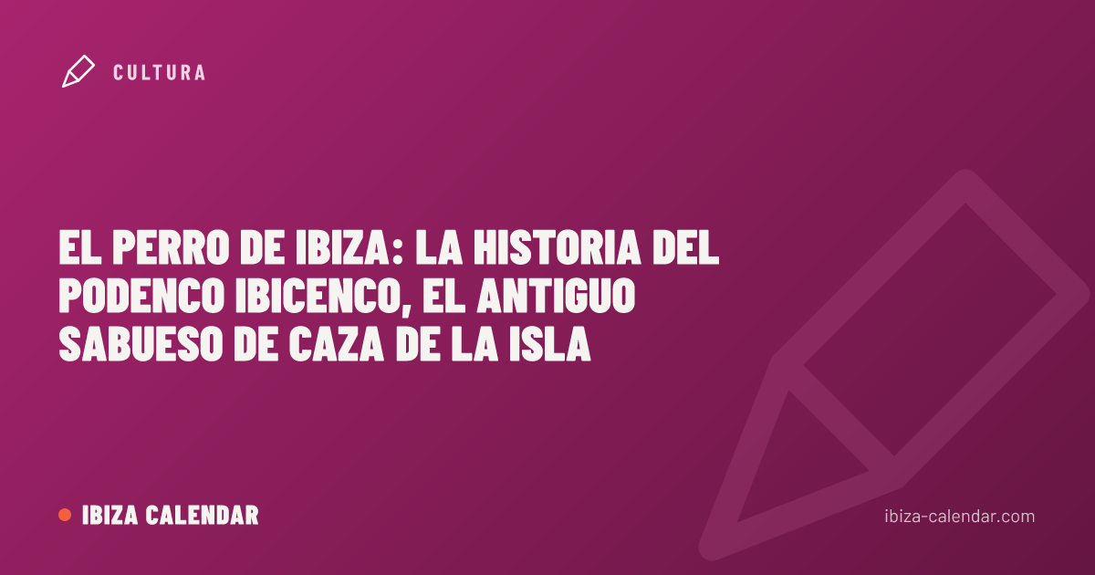 El perro de Ibiza: la historia del Podenco Ibicenco, el antiguo sabueso de caza de la isla