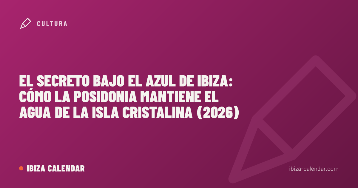 El secreto bajo el azul de Ibiza: cómo la Posidonia mantiene el agua de la isla cristalina (2026)