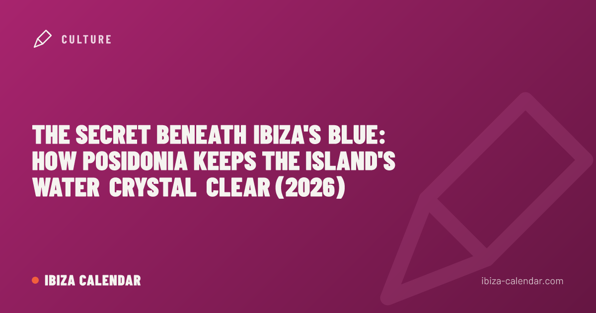 The Secret Beneath Ibiza's Blue: How Posidonia Keeps the Island's Water Crystal Clear (2026)