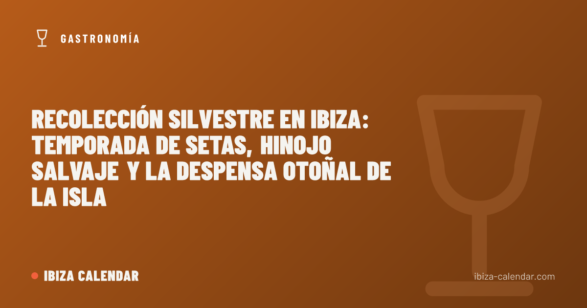 Recolección silvestre en Ibiza: temporada de setas, hinojo salvaje y la despensa otoñal de la isla