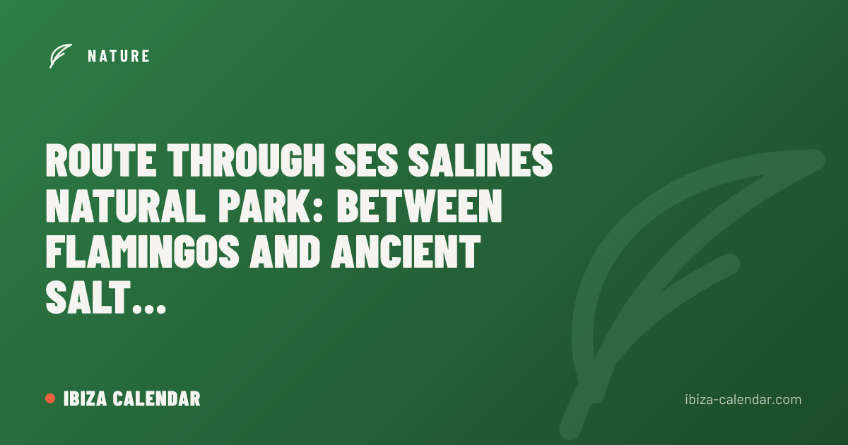 Route Through Ses Salines Natural Park: Between Flamingos and Ancient Salt Ponds