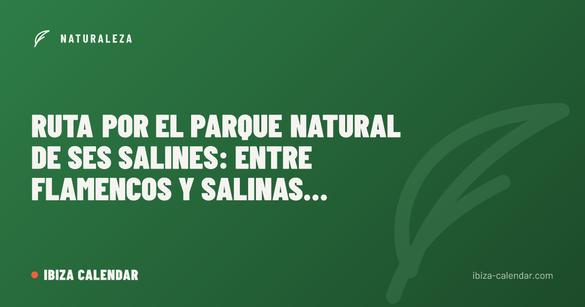 Ruta por el Parque Natural de Ses Salines: entre flamencos y salinas milenarias