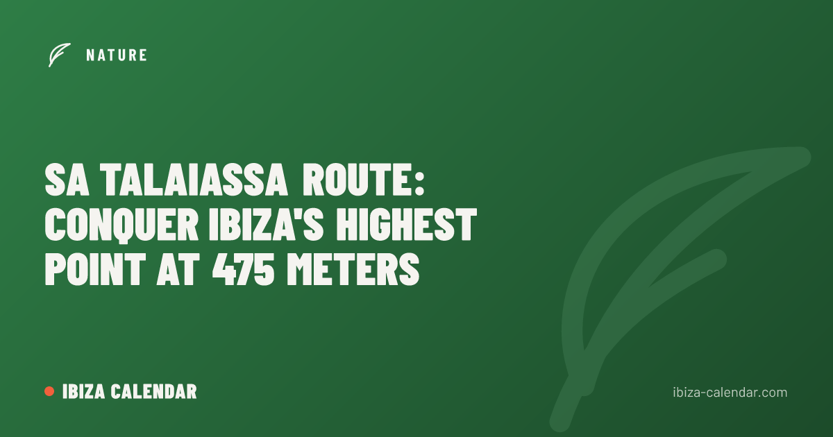 Sa Talaiassa Route: Conquer Ibiza's Highest Point at 475 Meters
