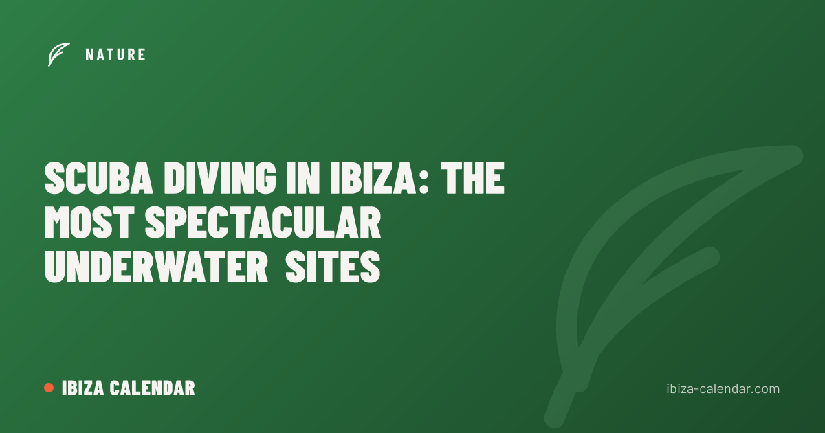 Scuba Diving in Ibiza: The Most Spectacular Underwater Sites