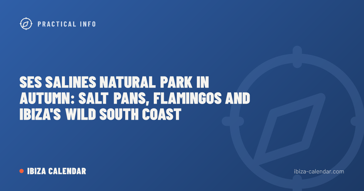 Ses Salines Natural Park in Autumn: Salt Pans, Flamingos and Ibiza's Wild South Coast