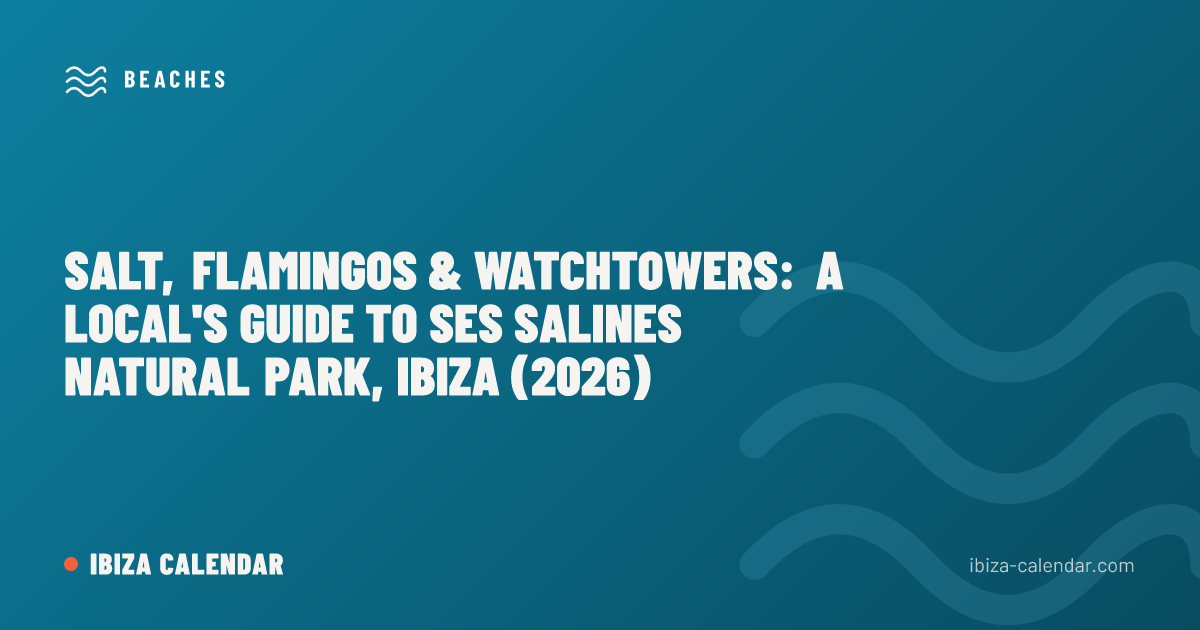 Salt, Flamingos & Watchtowers: A Local's Guide to Ses Salines Natural Park, Ibiza (2026)