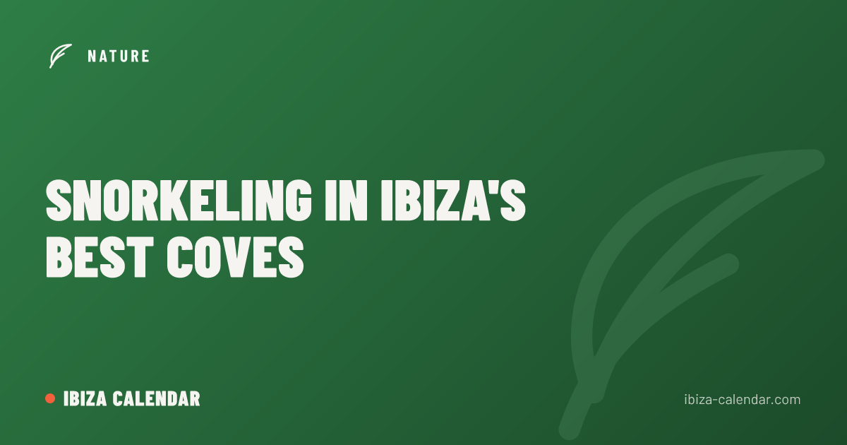 Snorkeling in Ibiza's Best Coves