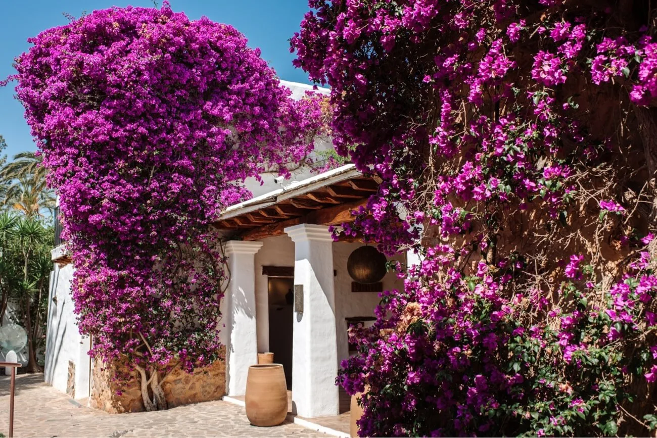 Agroturismo ATZARO ibiza