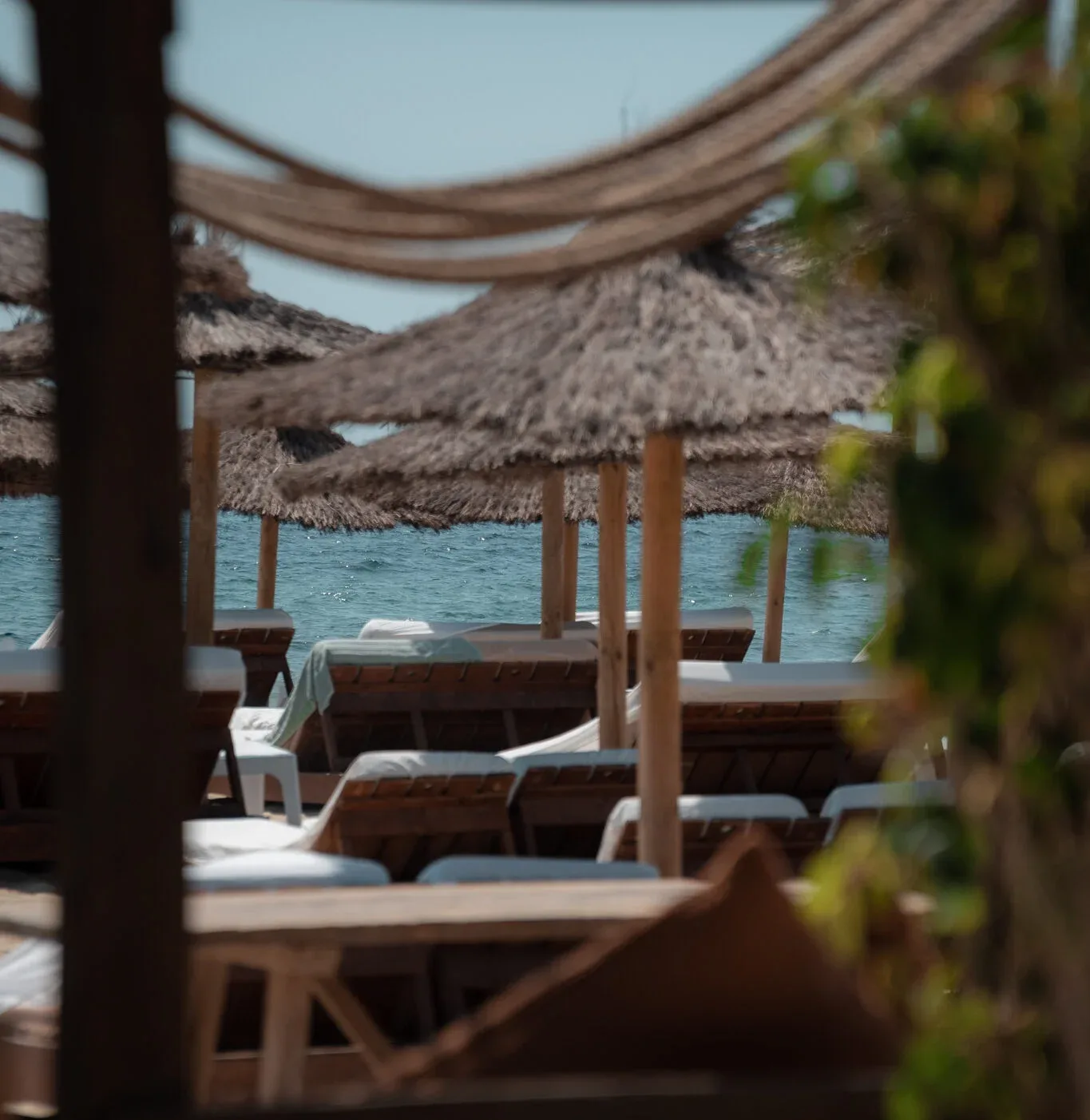 Zazú Ibiza